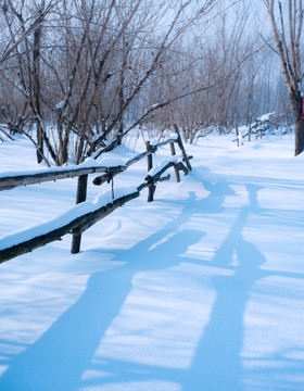 雪景