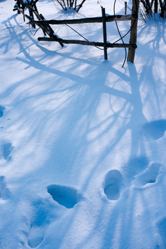 雪景