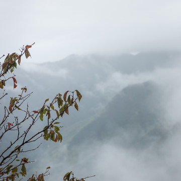 雨中看山