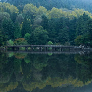 庐山如琴湖