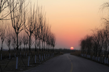 夕阳小路