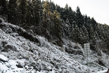 冰天雪地