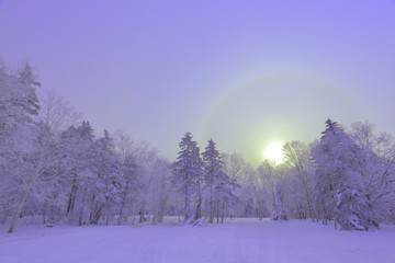 雾凇 冰雪风光 雪景 蓝天白云