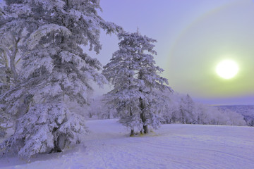 雾凇 冰雪风光 雪景 蓝天白云