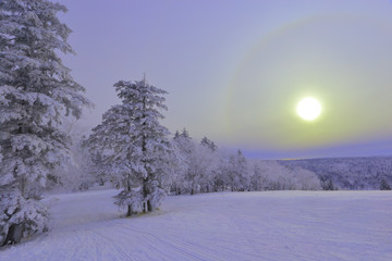 雾凇 冰雪风光 雪景 蓝天白云