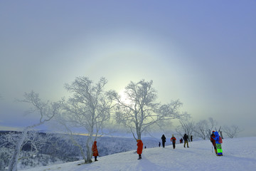 雾凇 冰雪风光 雪景 蓝天白云