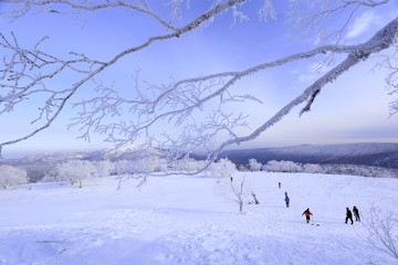 雾凇 冰雪风光 雪景 蓝天白云