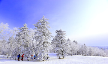 雾凇 冰雪风光 雪景 蓝天白云