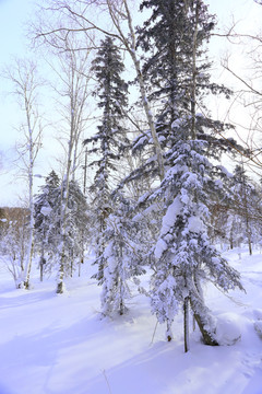 雾凇 冰雪风光 雪景 蓝天白云