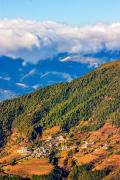 大山村庄