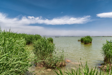 宁夏银川沙湖