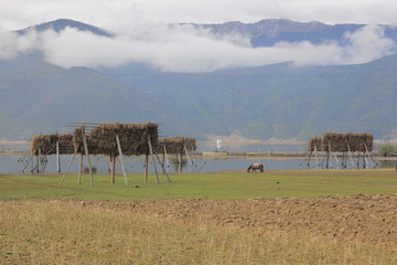 纳帕海