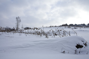 雪乡