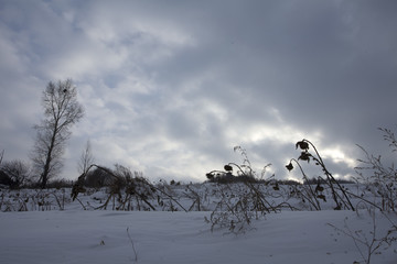 雪乡