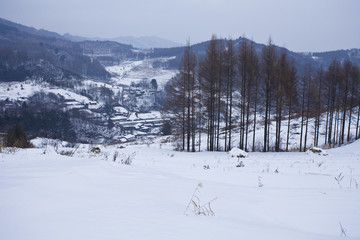 雪乡