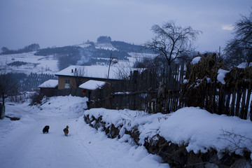 雪乡