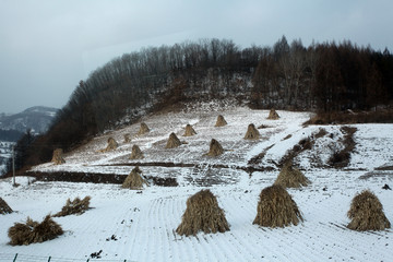 雪野