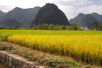 风景