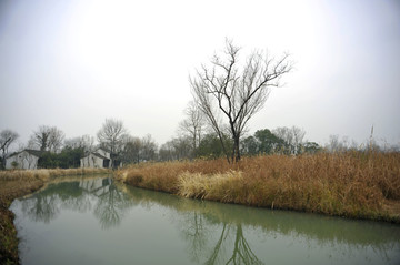 古典小屋与树木