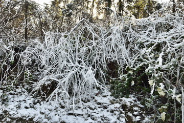 冰天雪地