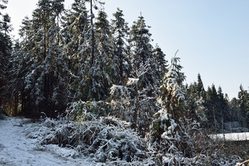 冰天雪地