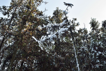 冰天雪地