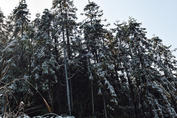 冰天雪地