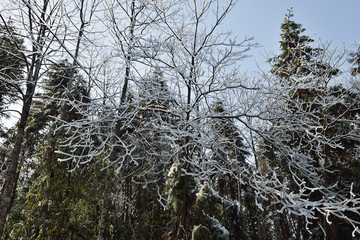 冰天雪地