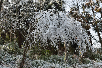 冰天雪地