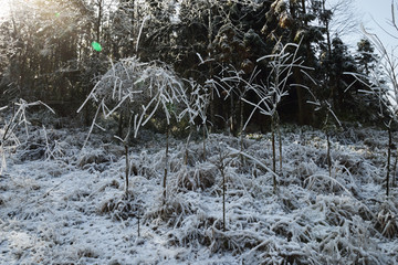 冰天雪地