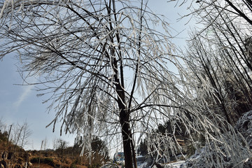 冰天雪地