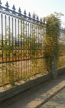 校园篱笆