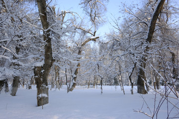 雪林