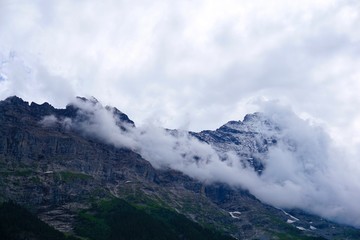 高山云雾