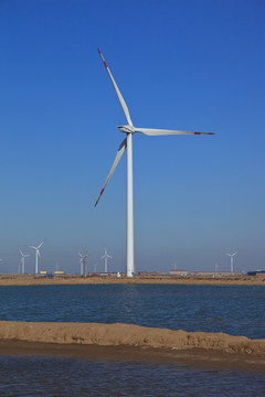 渤海湾的风力发电场 风车发电