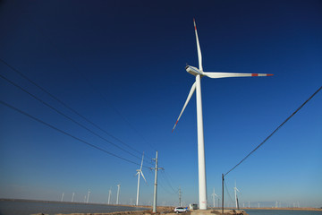渤海湾的风力发电场 风车发电