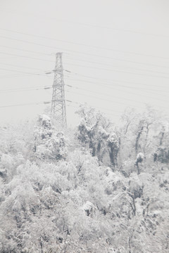 雪中电塔