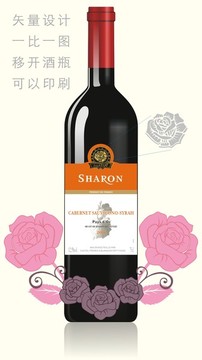 兄弟卡斯特沙侖