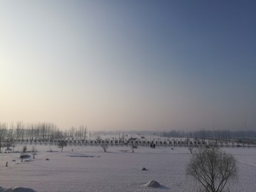 冬季雪景01