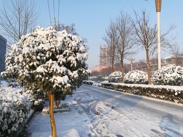 冬季雪景
