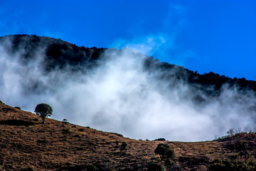 大山云海