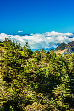 云南轿子雪山景区