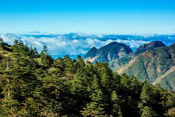 云南轿子雪山景区