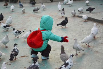 与鸽子玩耍的孩子