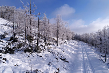 雪林山路