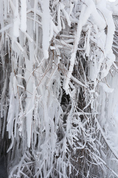 冰雪世界 冰清玉洁