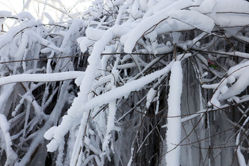 冰雪世界 冰清玉洁