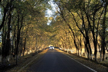 乡村公路