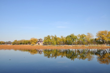 一湖一堤岸柳亭