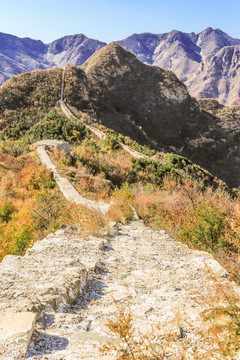 北京平谷大华山的秋景